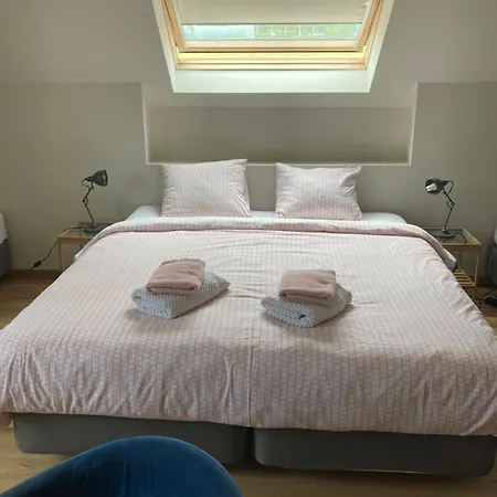 Bed & Breakfast Molen Ter Walle 3*