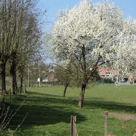 Molen Ter Walle Geraardsbergen
